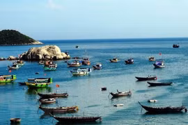 Ảnh minh họa. (Nguồn: TTXVN)