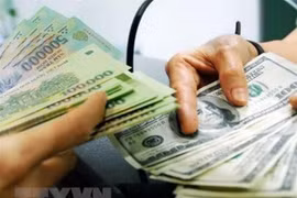 (Nguồn: TTXVN)