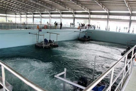 Một hệ thống xử lý nước thải. (Ảnh minh họa. Nguyễn Văn Việt/TTXVN)