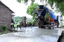 (Ảnh minh họa. Vũ Sinh/TTXVN)