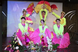 (Ảnh: Anh Đức/Vietnam+)