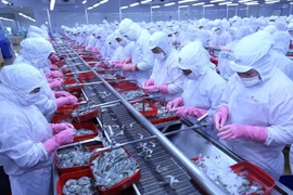 Thủy sản là một trong các mặt hàng xuất khẩu tăng trưởng mạnh nhất của Việt Nam trong những năm đổi mới. (Ảnh: Vũ Sinh/TTXVN)