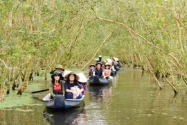 Khu du lịch rừng tràm Trà Sư là điểm du lịch sinh thái ưa thích của du khách khi đến An Giang. (Ảnh: Thanh Sang/TTXVN)