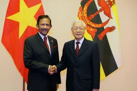 Tổng Bí thư, Chủ tịch nước Nguyễn Phú Trọng đón Quốc vương Brunei Hassanal Bolkiah. (Ảnh: Dương Giang/TTXVN)