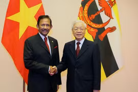 Tổng Bí thư, Chủ tịch nước Nguyễn Phú Trọng đón Quốc vương Brunei Hassanal Bolkiah. (Ảnh: Dương Giang/TTXVN)
