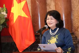 Phó Chủ tịch nước Đặng Thị Ngọc Thịnh. (Ảnh: Văn Điệp/TTXVN)