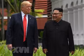 (Ảnh: AFP/TTXVN)