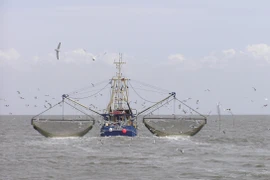 Ảnh minh họa. (Nguồn: Wikipedia)