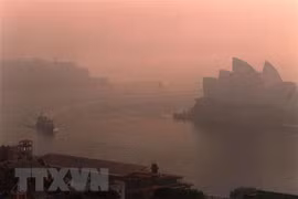Khói mù ô nhiễm bao phủ Sydney, Australia. (Nguồn: AFP/TTXVN)