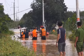 Lũ gây ngập ở thành phố Đồng Xoài, tỉnh Bình Phước, ngày 5/10/2019. (Ảnh: Dương Chí Tưởng/TTXVN)