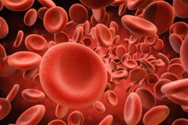 Ảnh minh họa. (Nguồn: medicalnewstoday.com)