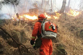 Lính cứu hỏa nỗ lực khống chế cháy rừng ở vùng núi thuộc huyện Miyun, ngoại ô Bắc Kinh, Trung Quốc ngày 30/3/2019. (Ảnh: AP/TTXVN)