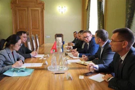 Đoàn Đại sứ quán Việt Nam hội đàm với chính quyền thành phố Lviv, Ukraine. (Ảnh: Duy Trinh/TTXVN)