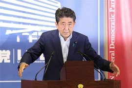 Thủ tướng Nhật Bản Shinzo Abe. (Ảnh: Kyodo/TTXVN)