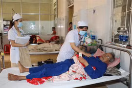 Bệnh nhân sốt xuất huyết đang được điều trị. (Ảnh: Hoài Nam/TTXVN)