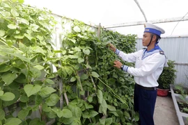 [Photo] Những phút giây bình dị của chiến sỹ và người dân Trường Sa