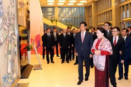 Ảnh: Trọng Đức/TTXVN)