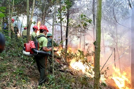 [Photo] Diễn tập chữa cháy rừng cấp quốc gia năm 2019