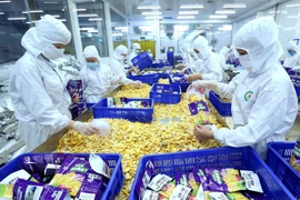 Đóng gói sản phẩm sấy khô xuất khẩu. (Ảnh: Vũ Sinh/TTXVN)