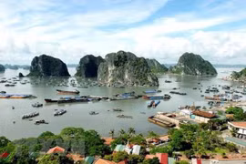 Phong cảnh Vịnh Hạ Long. (Nguồn: TTXVN)