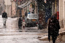 (Nguồn: pakistantoday.com.pk)