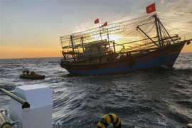 Các tàu cá phối hợp tìm kiếm cứu nạn. (Ảnh: Hoàng Ngọc/TTXVN)