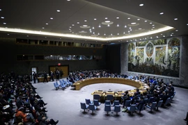 Toàn cảnh một phiên họp của Hội đồng Bảo an về tình hình Venezuela tại New York, Mỹ ngày 26/1/2019. (Ảnh: AFP/TTXVN)