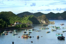 Một góc khu du lịch thị trấn Cát Bà. (Ảnh: An Đăng/TTXVN)