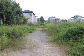 (Ảnh minh họa. Hoàng Nguyên/TTXVN)