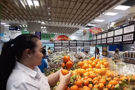 Nhiều mặt hàng trái cây đặc sản đổ về thị trường Thành phố Hồ Chí Minh. (Ảnh: Mỹ Phương/TTXVN)