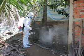 Tổ chức phun xịt thuốc khử trùng tại các trang trại chăn nuôi. (Ảnh: Huỳnh Phúc Hậu/TTXVN)