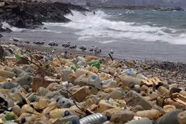 Rác thải nhựa trôi dạt vào bờ biển ở Ouzai, phía nam Beirut, Liban ngày 19/7/2018. (Ảnh: AFP/TTXVN)