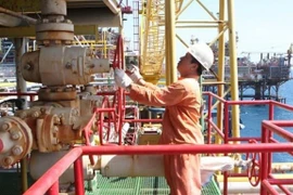 Ảnh minh họa. (Nguồn: TTXVN)