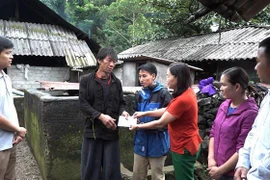 [Video] Sét đánh khiến 4 người thương vong tại Hà Giang