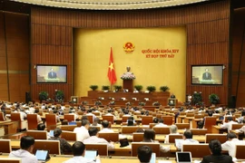 (Ảnh: Dương Giang/TTXVN)