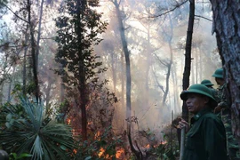 (Ảnh minh họa. Hoàng Ngà/TTXVN)