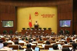 Quang cảnh phiên họp. (Ảnh: Dương Giang/TTXVN)