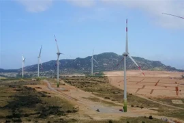 (Ảnh minh họa. Công Thử/TTXVN)