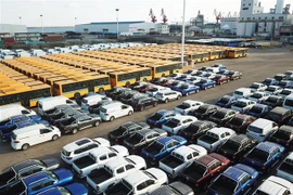 Ôtô xuất khẩu được xếp tại cảng ở Liên Vân Cảng, tỉnh Giang Tô, miền Đông Trung Quốc. (Ảnh: THX/TTXVN)