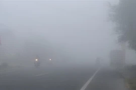 [Video] Xuất hiện sương mù dày đặc tại Đồng bằng sông Cửu Long