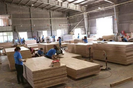 Sản xuất ván gỗ xuất khẩu từ nguyên liệu rừng trồng cây gỗ lớn tại nhà máy của Công ty Cổ phần Trường Phát (Tập đoàn Công nghiệp Cao su Việt Nam) trong khu công nghiệp Phước Hòa, huyện Phú Giáo (Bình Dương). (Ảnh: Vũ Sinh/TTXVN)