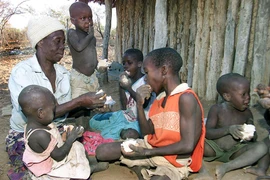 Phân phát khẩu phần ăn bánh mỳ cứu trợ của WFP tại một gia đình ở Binga, Zimbabwe. (Ảnh: AFP/TTXVN)