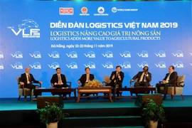 (Ảnh: Quốc Dũng/TTXVN)