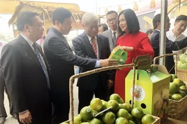 Tuần hàng đặc sản Đồng Tháp tại Thành phố Hồ Chí Minh năm 2019 giới thiệu đa dạng sản phẩm nông sản tươi sống, sản phẩm chế biến, hàng thủ công mỹ nghệ… (Ảnh: Mỹ Phương/TTXVN)