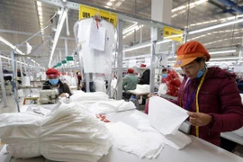 May hàng xuất khẩu sang thị trường EU tại Công ty may Tinh Lợi, khu công nghiệp Lai Vu, huyện Kinh Thành (Hải Dương). (Ảnh: Trần Việt - TTXVN)