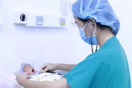 Ảnh minh họa. (Nguồn: TTXVN phát)