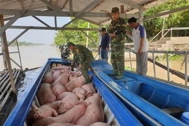 (Ảnh: Công Mạo/TTXVN)