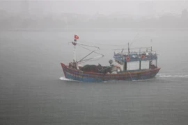 [Video] Đã cứu được 5 trong số 7 thuyền viên tàu cá bị chìm