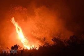 Lửa bùng lên từ các đám cháy rừng ở Kampar, Indonesia, ngày 16/9. (Ảnh: AFP/TTXVN)