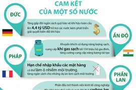 [Infographics] Quốc tế cam kết những nỗ lực lớn hơn về bảo vệ khí hậu